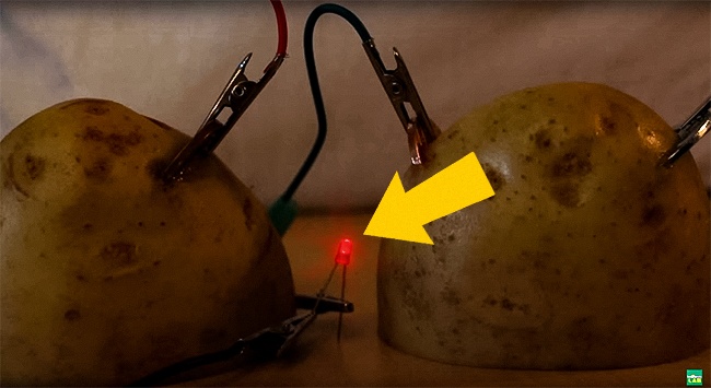 Enciende Un Foco Usando Una Papa, Aquí Te Decimos Como | delicias.tv blog