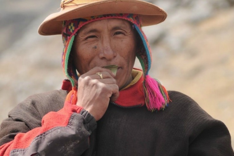 Te Sorprenderán Los Beneficios Para La Salud Que Tiene La Hoja De Coca