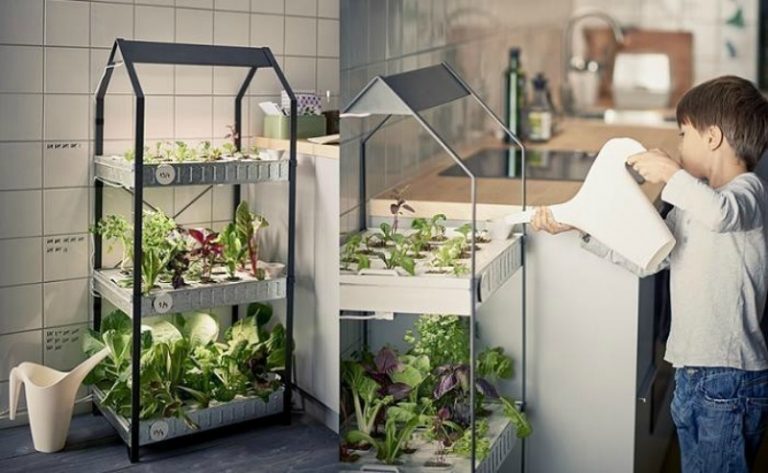 Sistema Hidropónico Que Te Permitirá Tener Hortalizas En Casa Sin