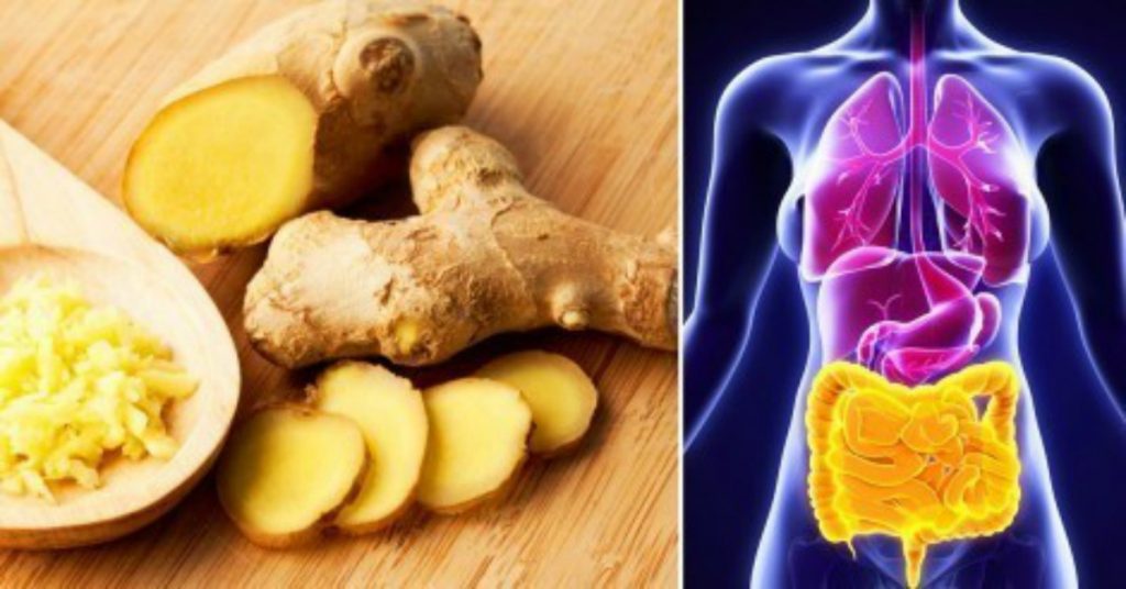 Propiedades Del Jengibre Y 13 Enfermedades Que Puedes Controlar Con Su Consumo delicias.tv blog Propiedades Del Jengibre Y 13 Enfermedades Que Puedes Controlar Con Su Consumo delicias.tv blog