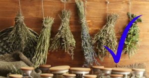 Descubre 11 Formas Para Poder Conservar Tus Hierbas. Anota… | delicias