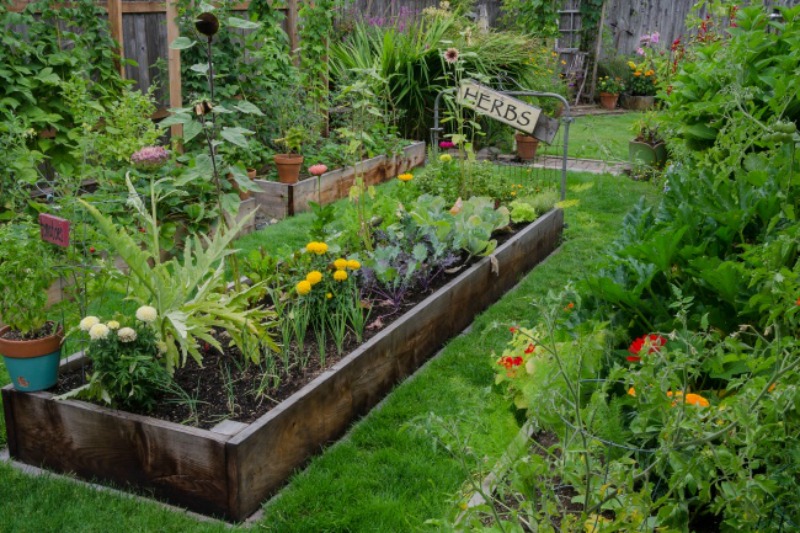 15 Sencillas Ideas Que Te Convertirán En El Mejor Jardinero | delicias