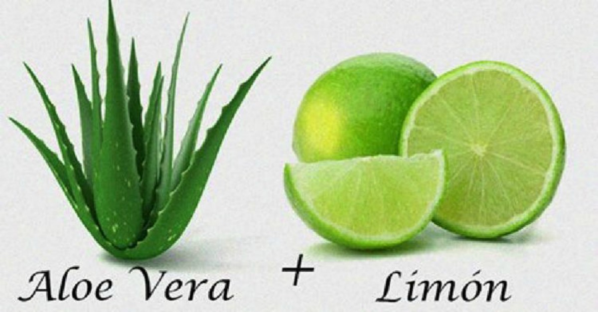 licuado para asear el colon y estilizarse y tomar